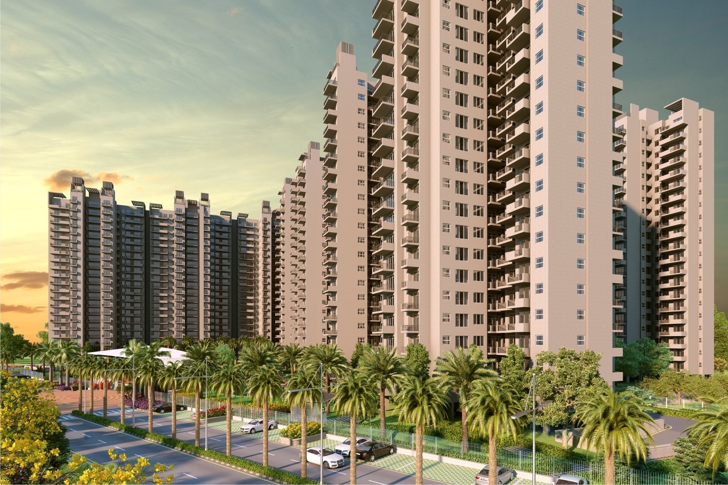 SS Group The CoralWood